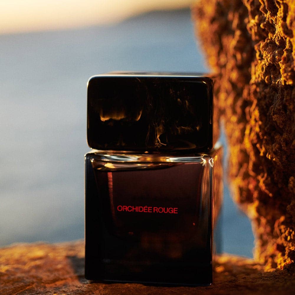 Orchidée Rouge — 4