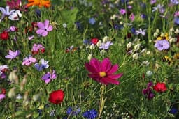 Bouquet Floreale