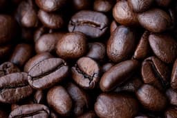 Caffe