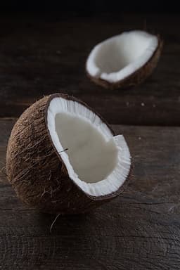 Cocco