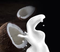 Latte Di Cocco