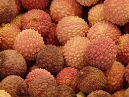 Litchi