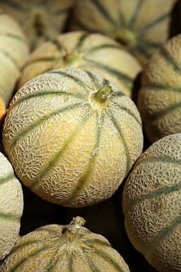 Melone