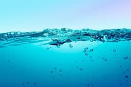 Note Acquatiche