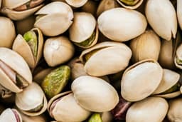 Pistacchio