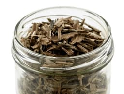 Cascarilla