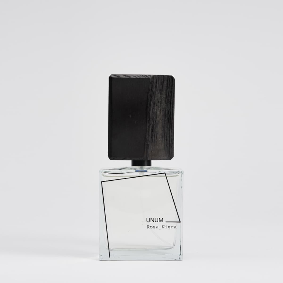 Rosa Nigra — 5